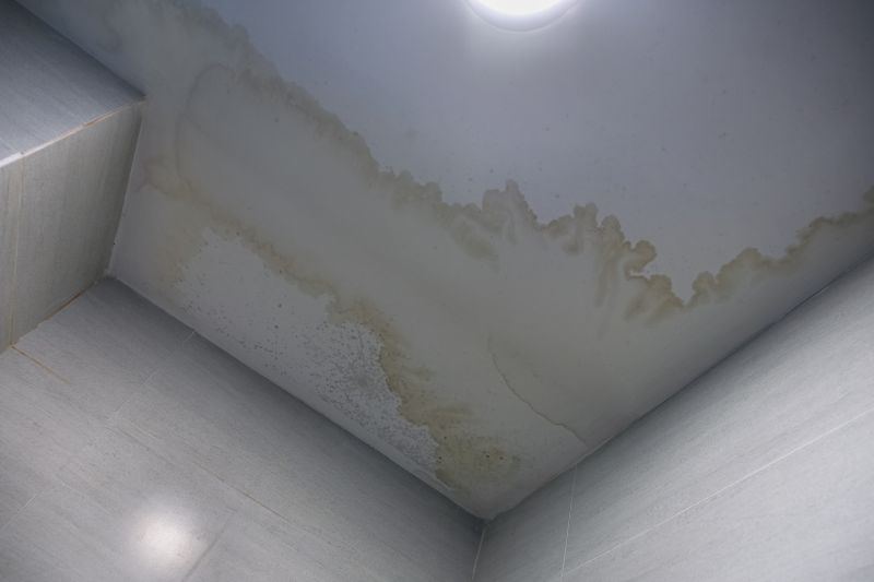 Ceiling Leak Repair Service