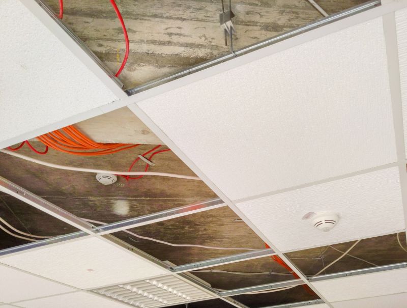 Ceiling Removal Service