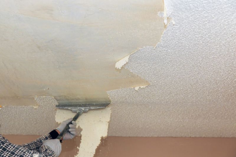 Ceiling Removal Service