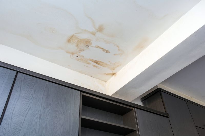 Water Damage Ceiling Repair