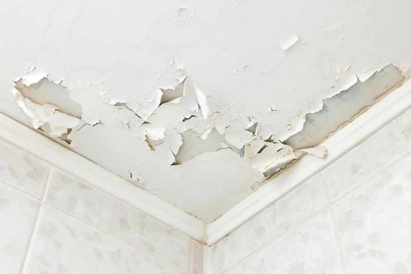 Water Damage Ceiling Repair