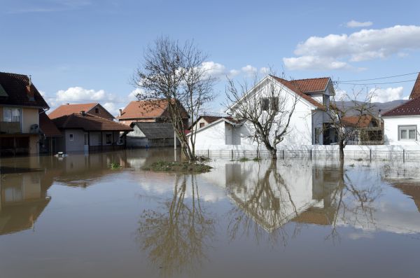 Water Damage Assessment