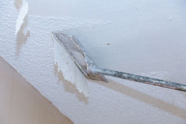 Ceiling Removal Service in Bellingham