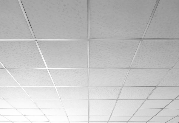 Ceiling Installation Service