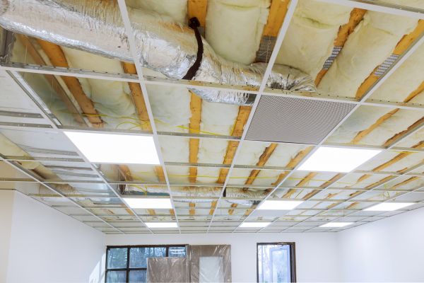 Suspended Ceiling Removal in Bellingham